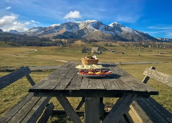 Organic Family Farm