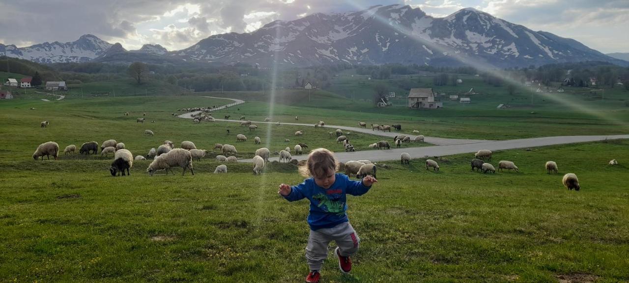 Гостевой дом Organic Family Farm *