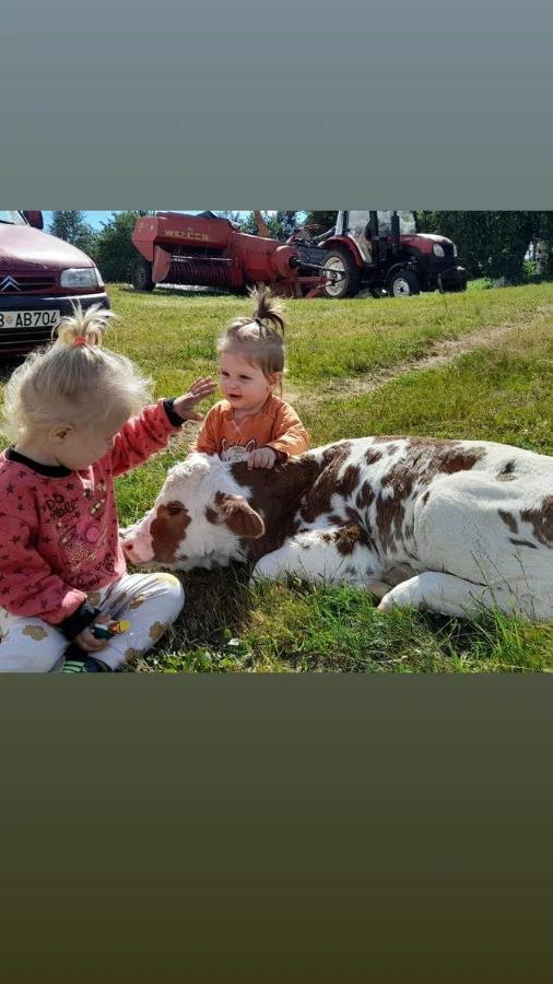 Organic Family Farm Гостевой дом