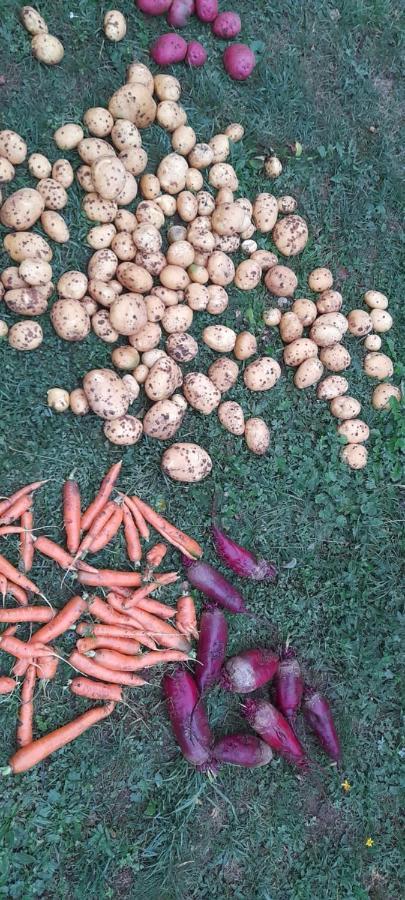 Organic Family Farm Гостевой дом *