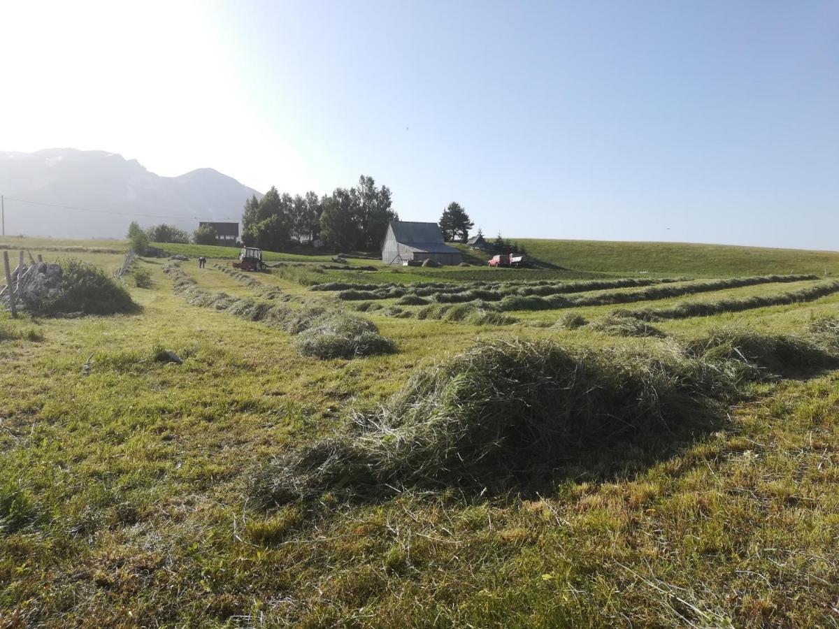 Гостевой дом Organic Family Farm *