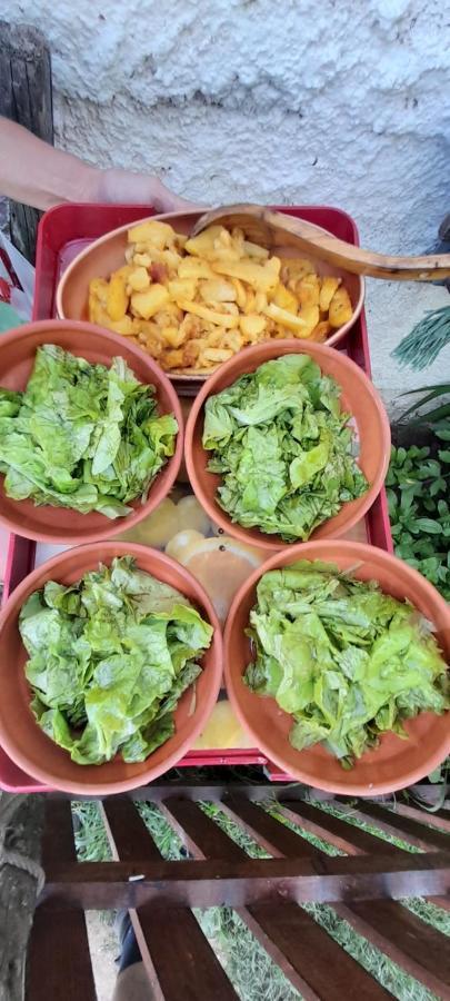 Гостевой дом Organic Family Farm *