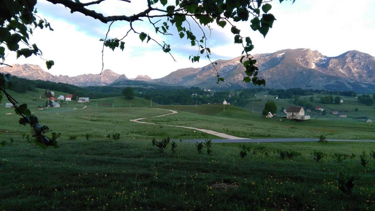 Organic Family Farm Гостевой дом Жабляк